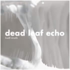 Dead Leaf Echo: Half-Truth single