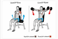 تمارين عضلات الكتف الجانبي