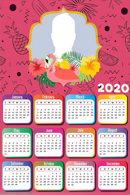 Flamingos: Free Printable 2020 Calendar