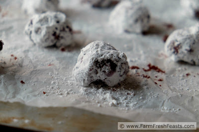 Roasted beets in a tender and chocolatey crinkle cookie.