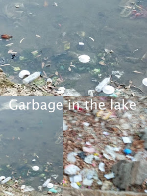 "Nakki Lake strewn with garbage thrown by visitors"