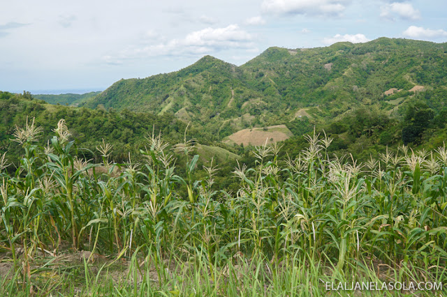 Cebu | Tinubdan Waterfalls and Catmon's Old Church