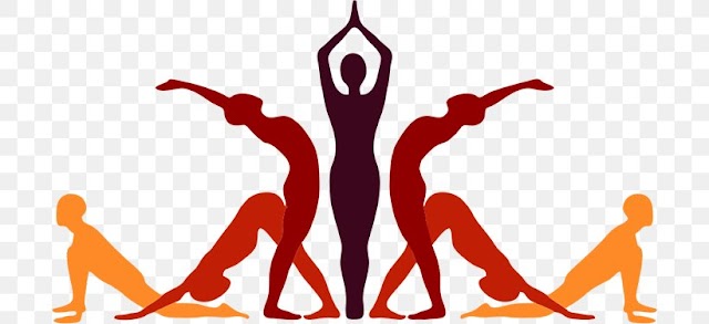 Do you practice Yoga and Pranayama everyday ?