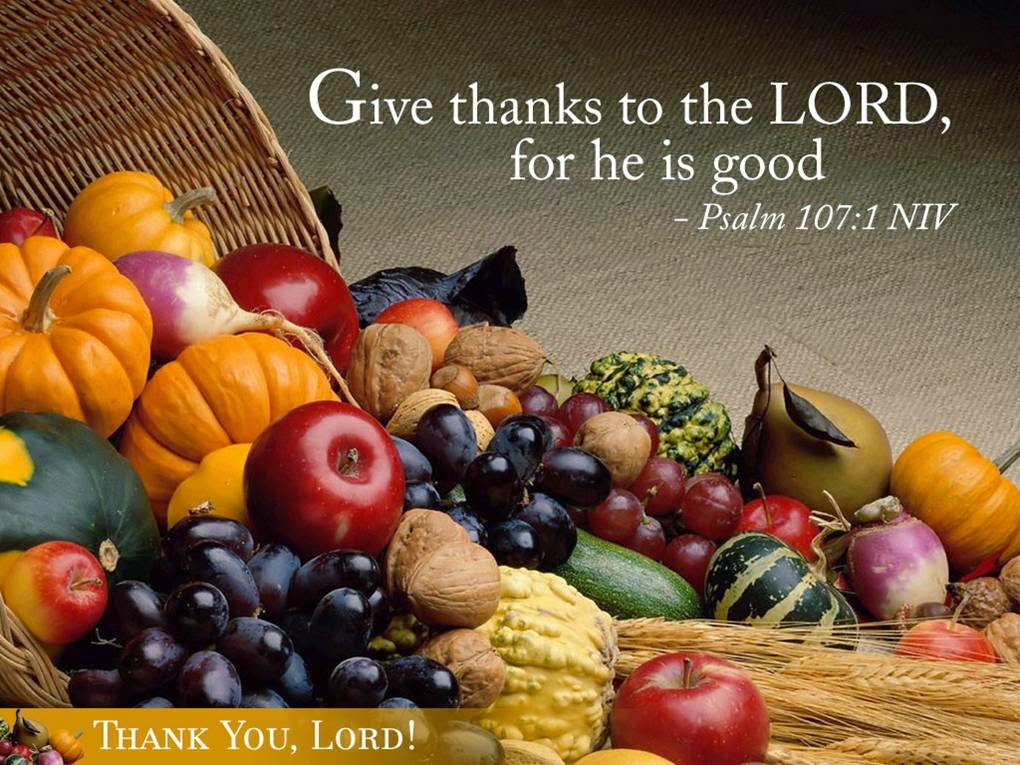 http://www.fanpop.com/clubs/jesus/images/27062498/title/jesus-thanksgiving-photo