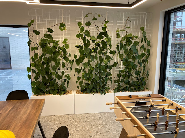 Witte design plantenbakken met scandens hangplanten kopen of huren