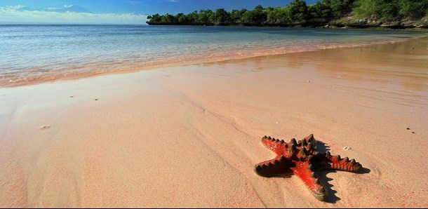 Indahnya Pantai Pink Lombok Yang Memikat