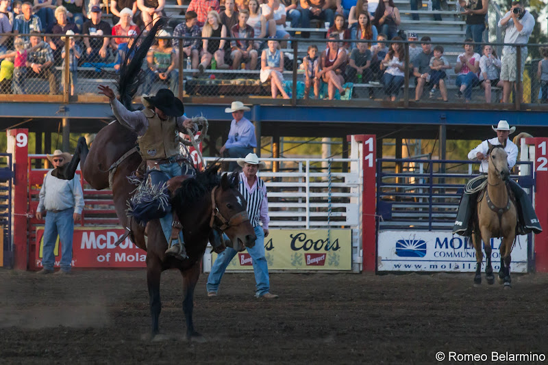 Molalla Buckeroo PRCA Rodeo Saddle Bronc Things to Do In Oregon City and Mt. Hood Territory