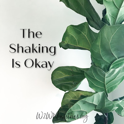 The Shaking is Okay #Godisincontrol #inspiration #encouragement #crisis #hardship #w2wministries