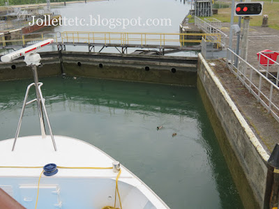 Ducks in a lock on the Rhine 2019 https://jollettetc.blogspot.com