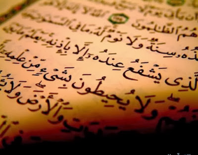 8 Questions : You Ask  And Quran Answer You ? 