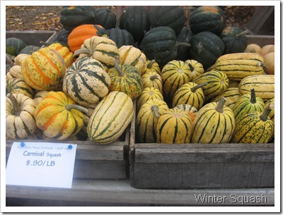 winter squash 2