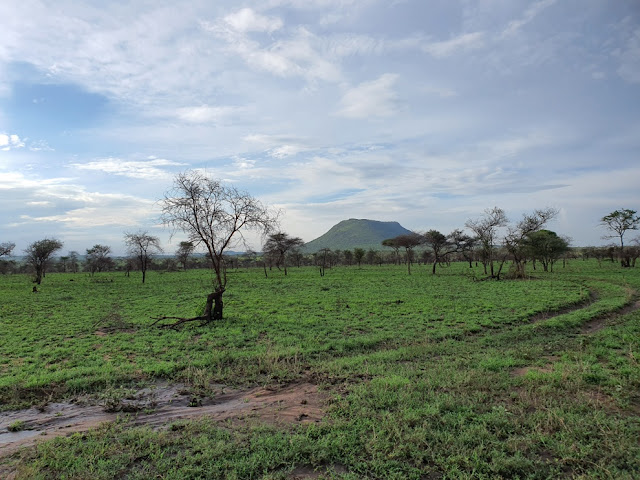 Serengeti National Park