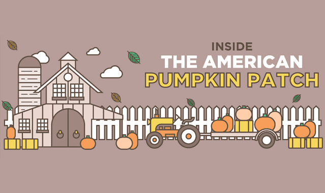 Image: Inside the American Pumpkin Patch