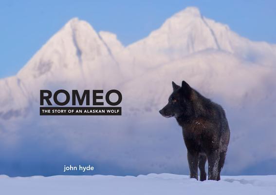 White Wolf Romeo The Story Of An Alaskan Wolf