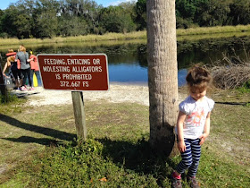 hiking in Myakka River State Park