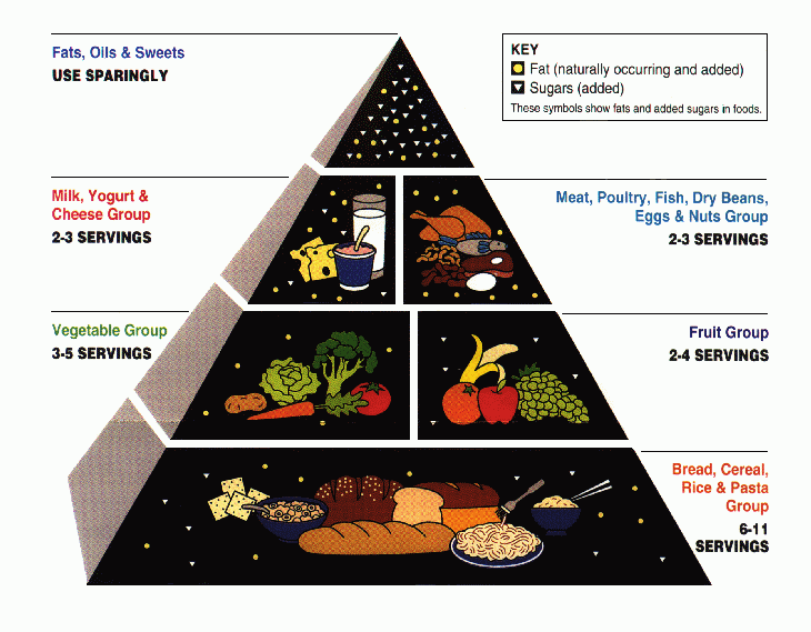  food groups. The most recent pyramid (MyPyramid) is designed poorly 