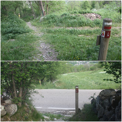 Ruta del Romànic de la Vall de Boí; Camí de Boí a Taüll i carretera L-501