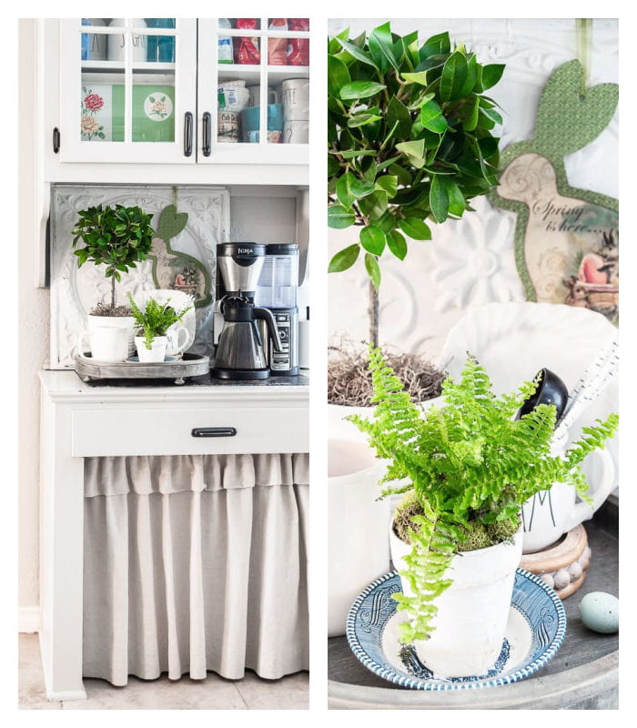 farmhouse coffee station, baby fern, topiary, white dishes