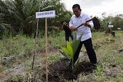 Gubernur Ansar Tanam Bibit Kelapa Genjah dan Panen Udang di Pulau Kundur