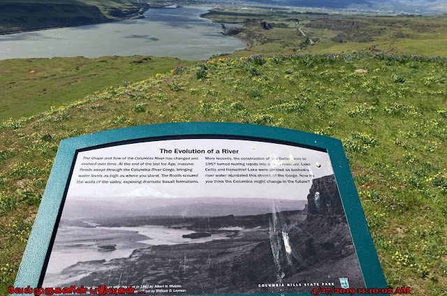 Evolution of a Columbia River Gorge