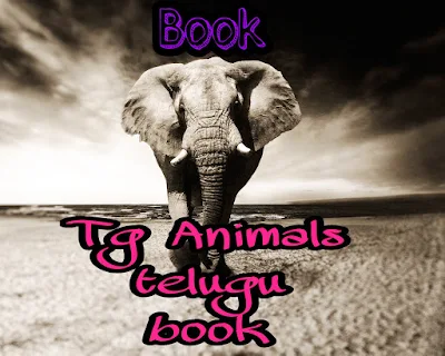Tg Animals Book