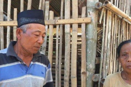 7 ekor sapi warga Lumajang di gondol maling dalam semalam