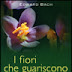 I FIORI CHE GUARISCONO L'ANIMA