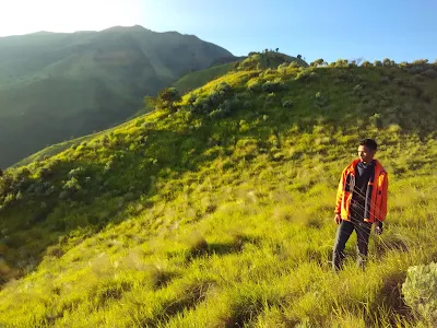 foto pemandangan di sabana gunung merbabu