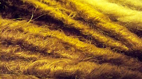 cut dreadlocks