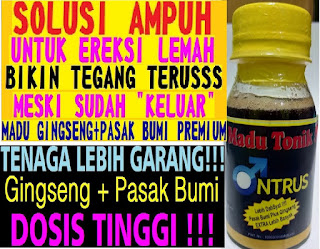 Madu Obat Kuat Pria Ereksi SuperTonik di Pidie Jaya-Meureudu Jual Online Shop