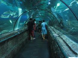 Seaworld Indonesia - Taman impian Jaya Ancol