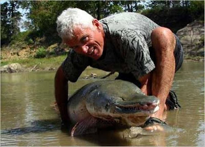 Alligator Gar Fish Seen On www.coolpicturegallery.us