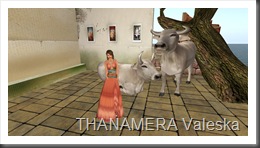 Snapshot_014