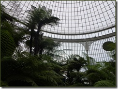 glasgow botanics kibble palace