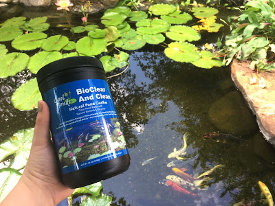 bioclear and clean natural bacteria cool ponds