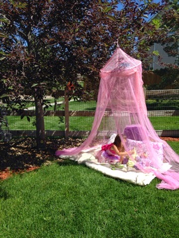 Make an outside fort for your little one in the Summer time. Mesh canopies are cheap! www.thebrighterwriter.blogspot.com