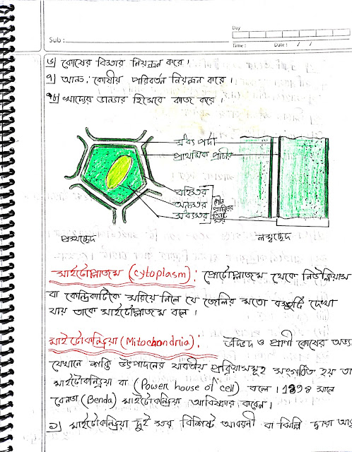 SSC Biology Chapter 2 Hand Note