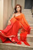 Sony Charista Glamorous in Saffron saree-thumbnail-14