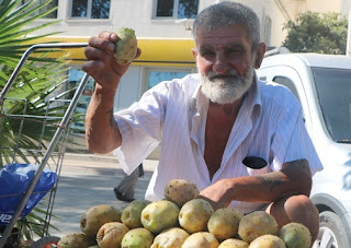 Dikenli İncirin Cilde Faydaları