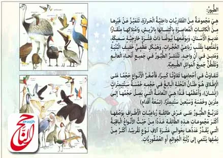 مكتبة القصص للاطفال من قصة فلفول القصه مكتوبة ومصورة و pdf