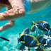 Tempat Snorkeling Terbaik di Jogja