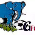 Giwa FC expelled from Nigerian Football League