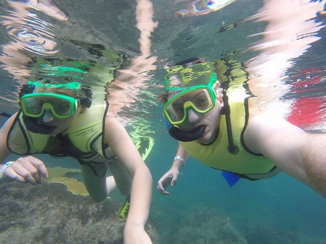 snorkelling in the caribbean
