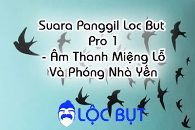 Âm hut chim suara panggil loc but pro 1