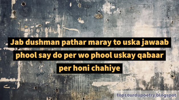 Attitude Status In Urdu 2 Line