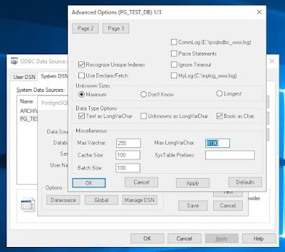 ODBC Data Source Advanced Options