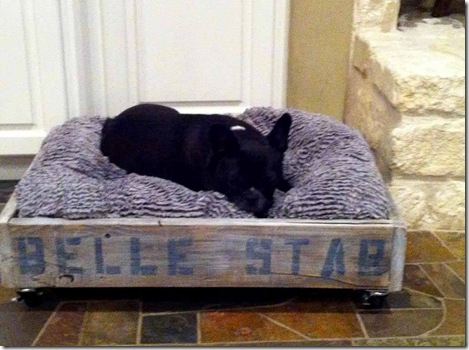 DOG BED