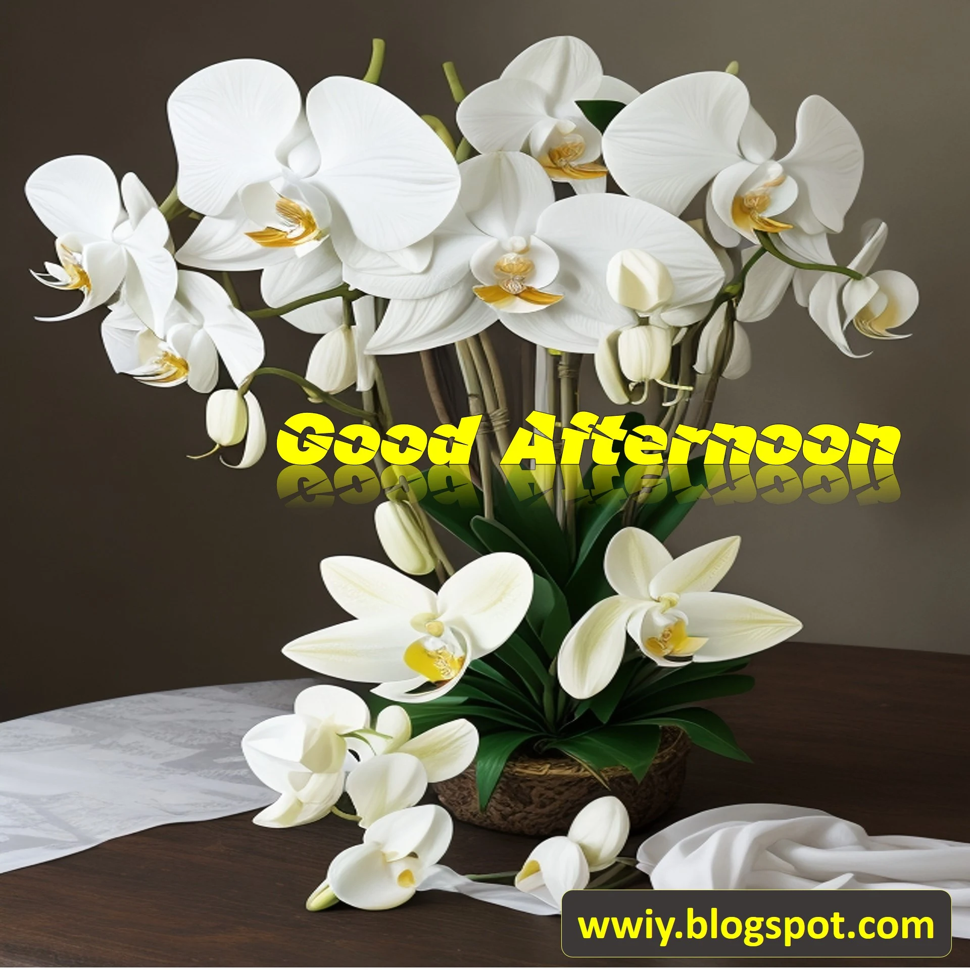 Beautiful Good Afternoon Images Free Download