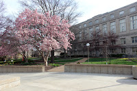 Ground floor entrance to the west of the building. A paved path leads to the front door. A cherry tree in full bloom is on the left, and the building is to the right.