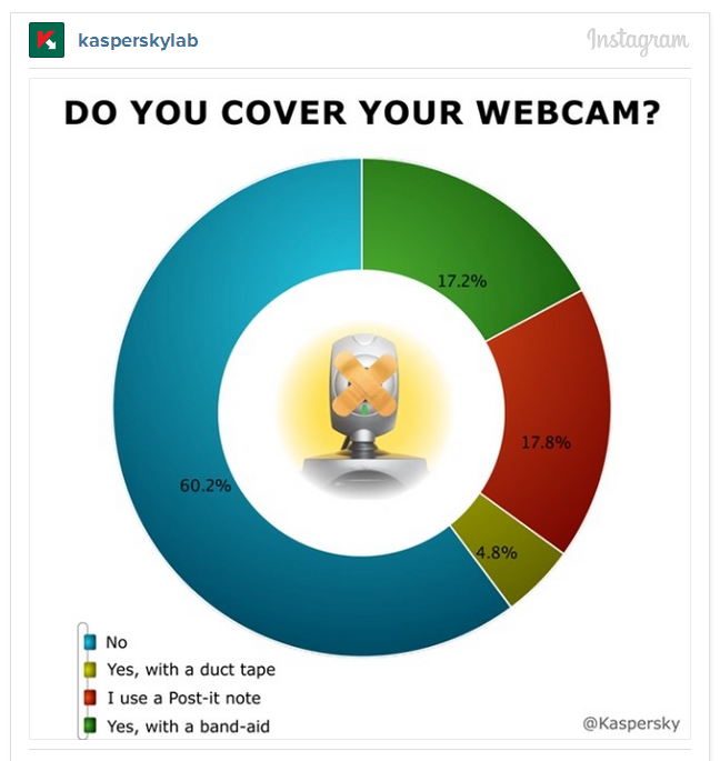 Webcam Survey